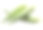 秋葵荚孤立在白色的背景素材图片