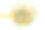 干秋葵(女士的手指，赭色)素材图片