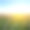 夕阳下美丽的夏日草原素材图片