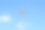 五颜六色的降落伞在晴朗的夏日天空素材图片