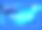 现代彩色流动海报。波浪液体形状在蓝色背景。你的设计项目的美术设计。矢量插图EPS10素材图片