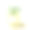 茴香球茎和茴香种子。水彩手绘插图，孤立的白色背景素材图片
