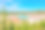 黄石国家公园的大棱镜喷泉素材图片