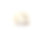 侏儒毛茸茸的仓鼠孤立在白色背景，正面视图素材图片