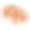 烤皇家香菇片，孤立在白色背景上。矢量插图。素材图片