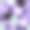 无缝图案与数字绘制的猫和怪物的叶子在紫罗兰的背景素材图片