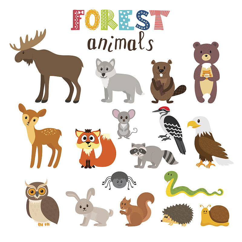 一套可爱的森林动物在矢量。林地。卡通风格图片下载