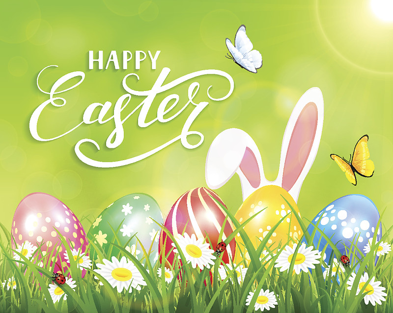 复活节快乐的绿色背景兔子和鸡蛋图片素材