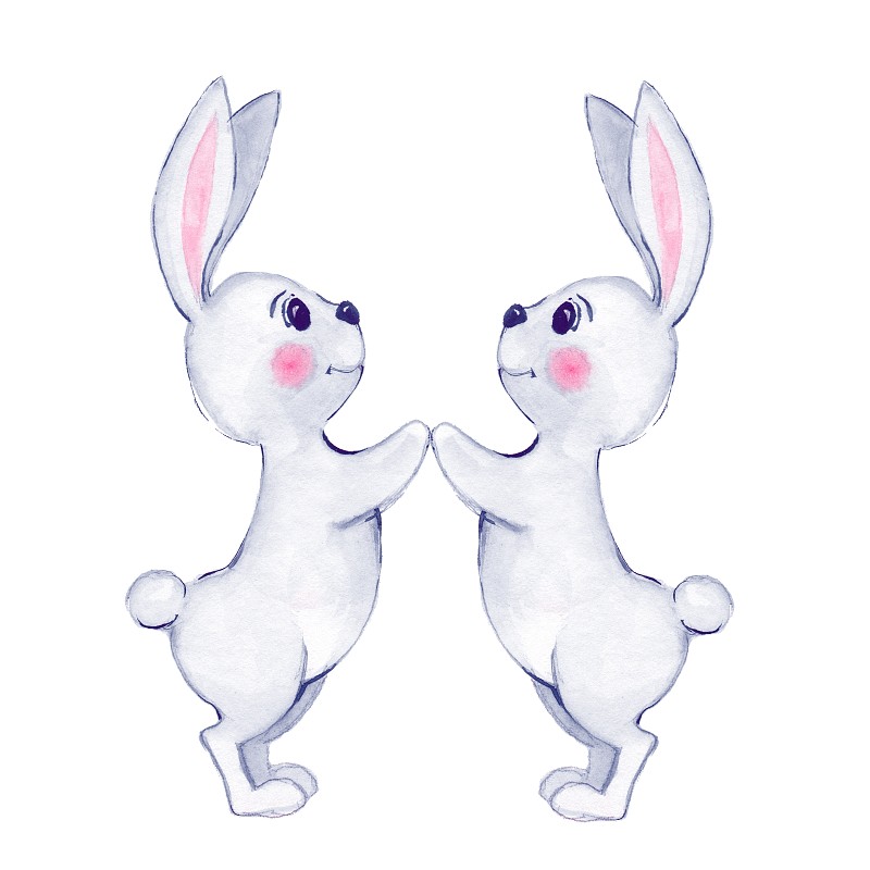 白色的兔子。水彩插图图片下载
